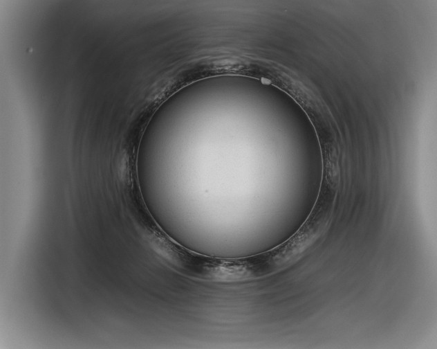 X0000116880270200912221431