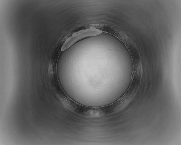 X0000116880272200912221431