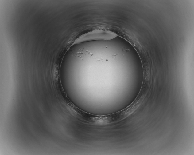 X0000116880273200912221431