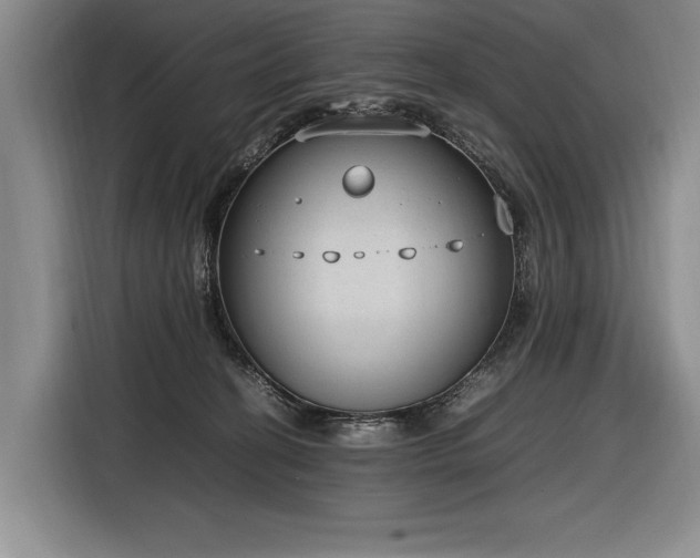 X0000116880274200912221431
