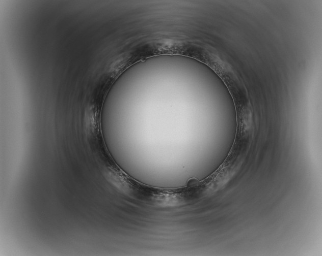 X0000116880276200912221431