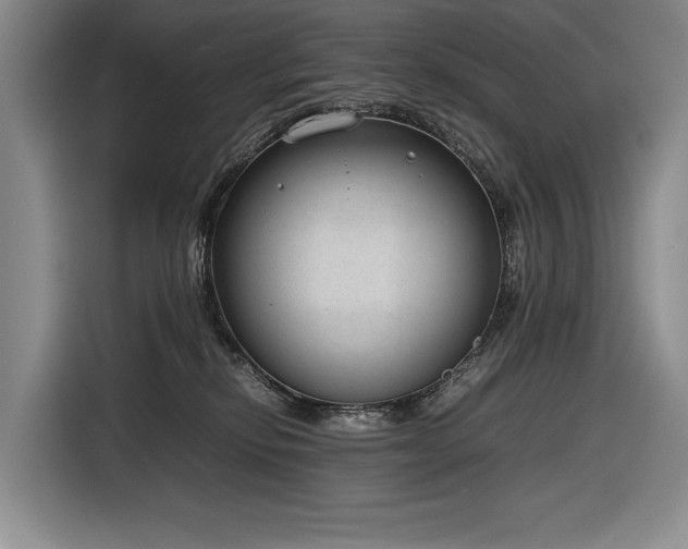 X0000116880278200912221431
