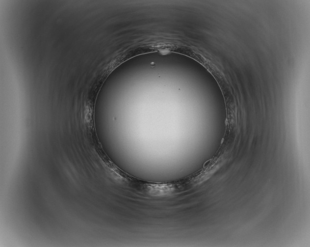 X0000116880281200912221431