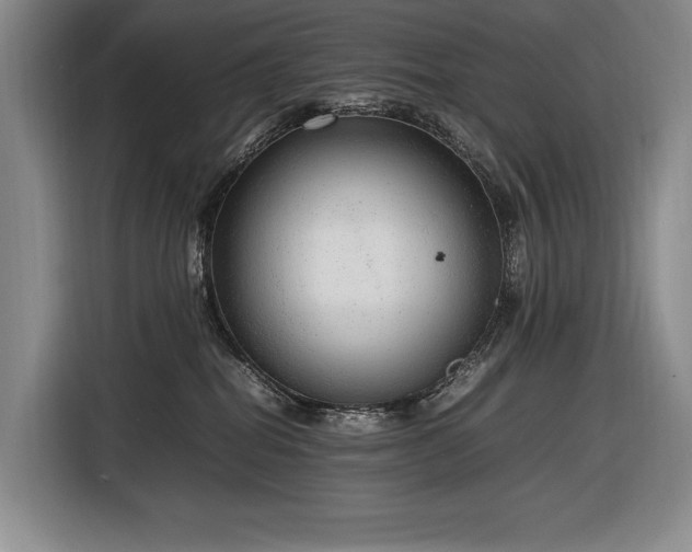 X0000116880282200912221431