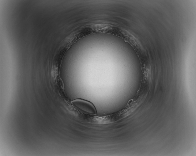 X0000116880283200912221431