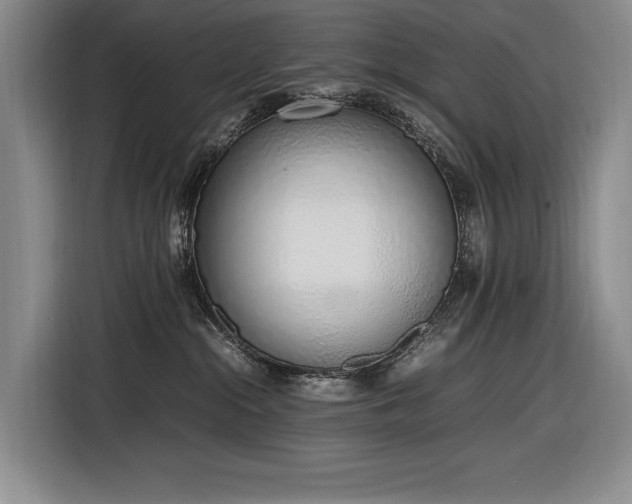 X0000116880284200912221431