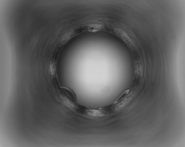 X0000116880285200912221431