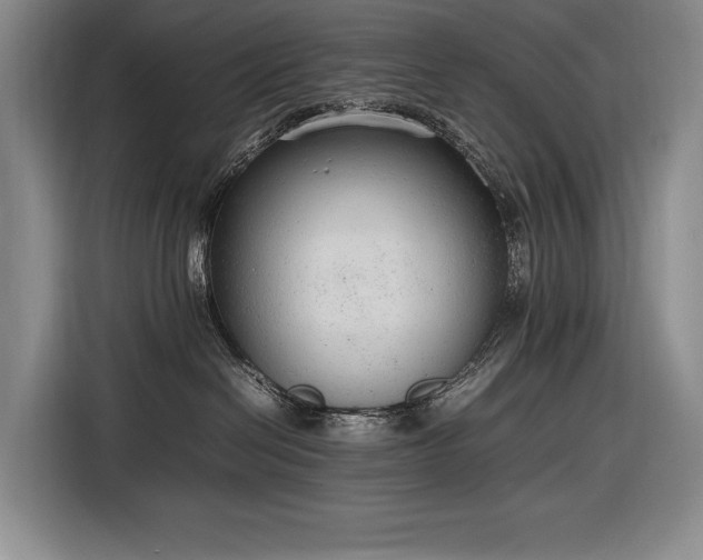 X0000116880286200912221431