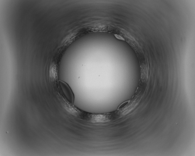 X0000116880287200912221431