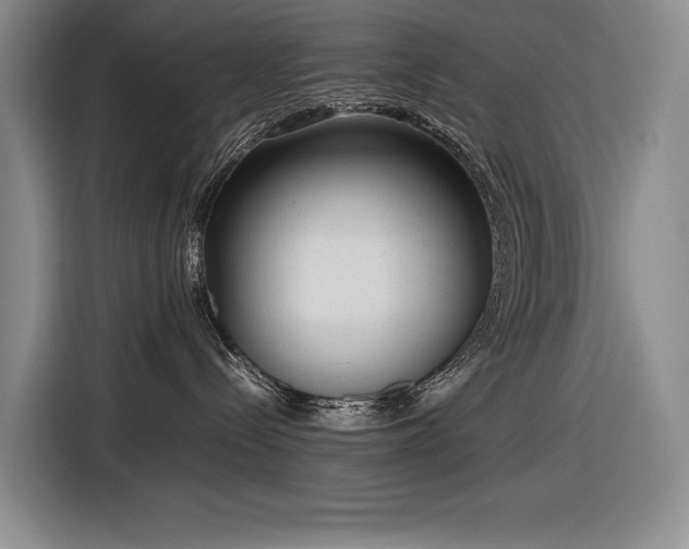 X0000116880288200912221431