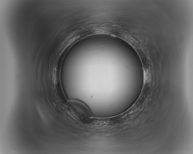 X0000116880291200912221431