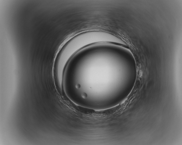 X0000116880292200912221431