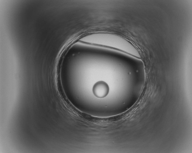 X0000116880293200912221431