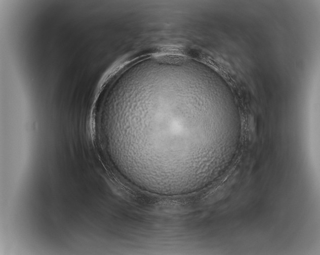X0000116880294200912221431
