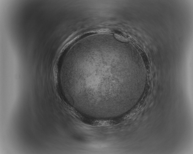 X0000116880295200912221431