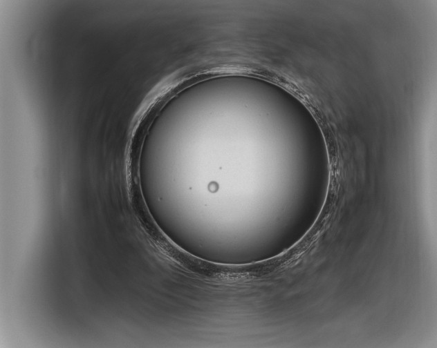 X0000116880296200912221431