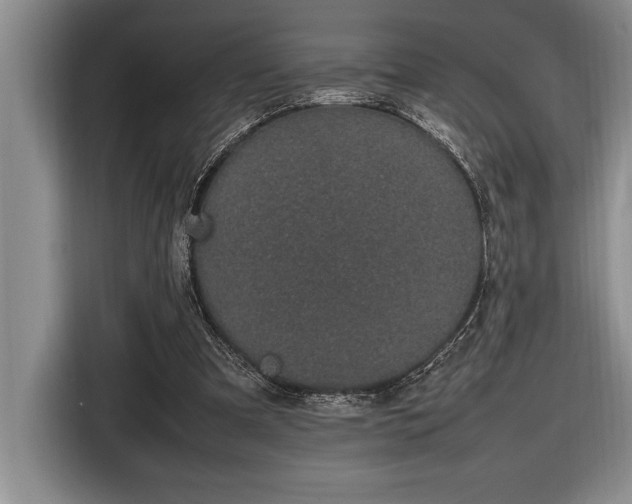 X0000116880297200912221431
