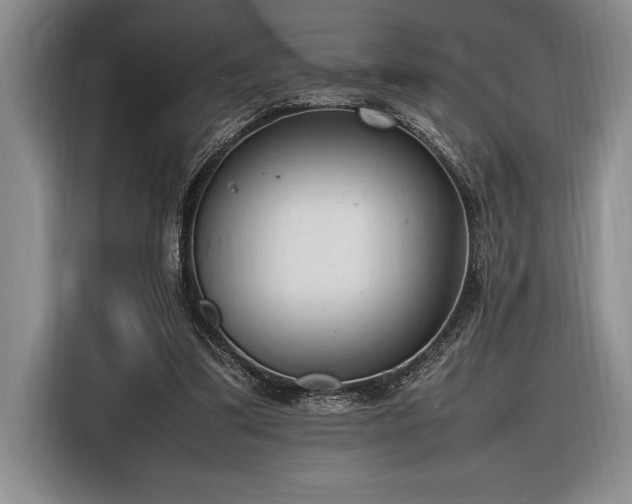 X0000116880299200912221431