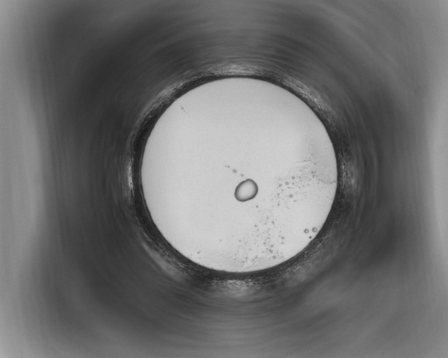 X0000116880302200912221431