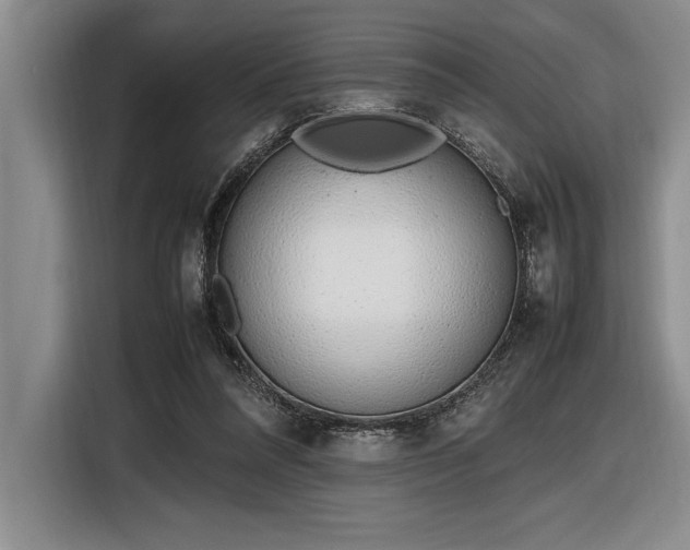 X0000116880304200912221431