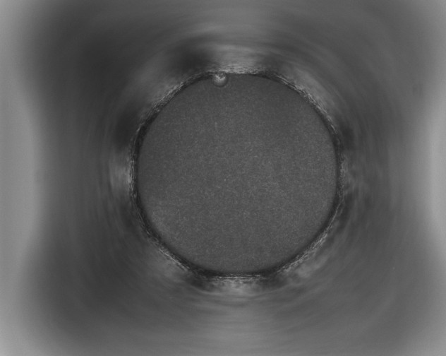 X0000116880305200912221431