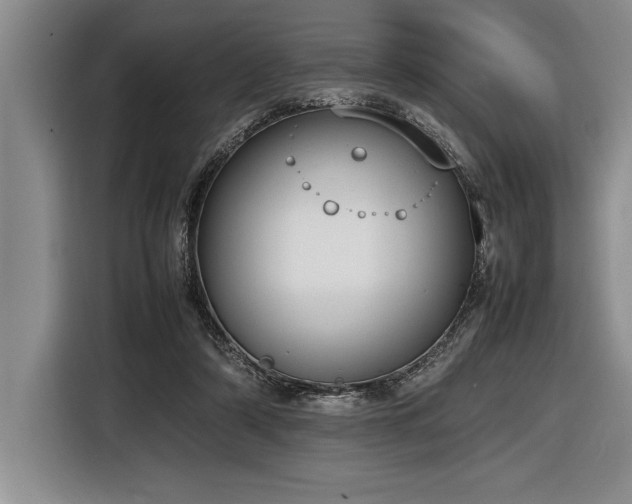 X0000116880306200912221431