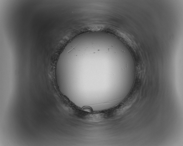 X0000116880307200912221431