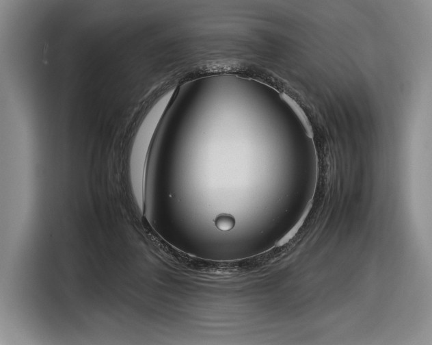 X0000116880308200912221431