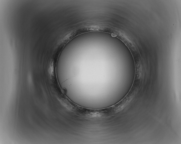 X0000116880310200912221431