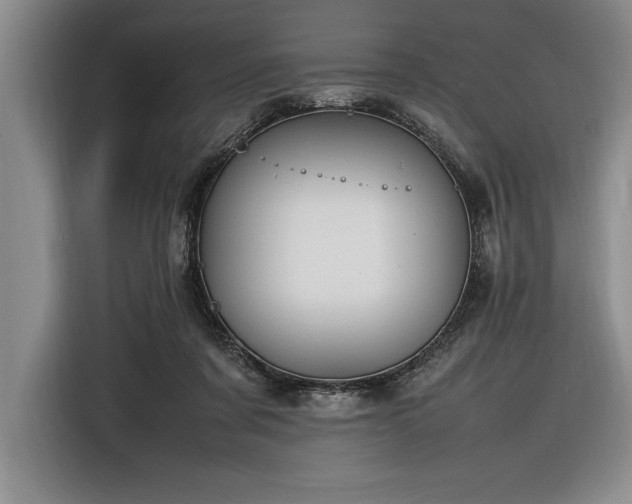 X0000116880311200912221431