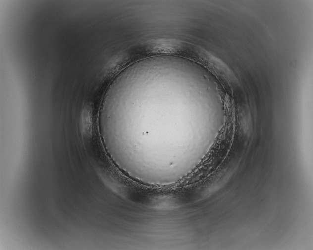 X0000116880312200912221431