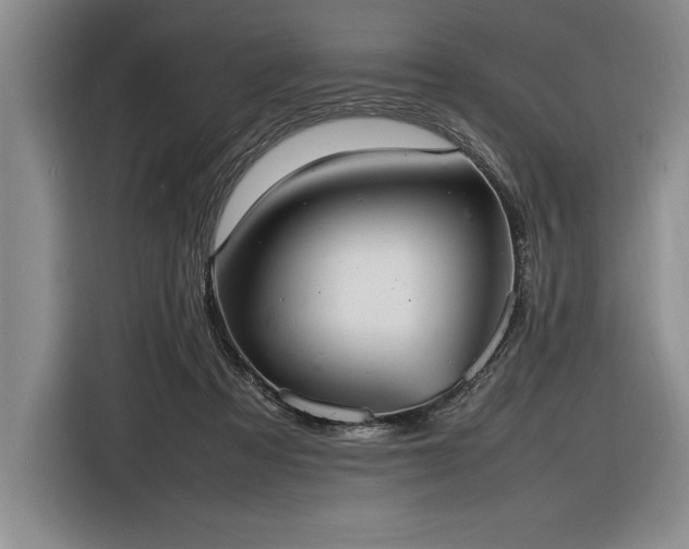 X0000116880313200912221431