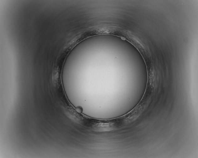 X0000116880314200912221431