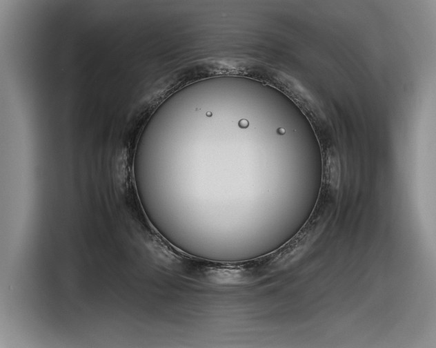 X0000116880318200912221431