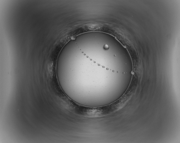 X0000116880319200912221430