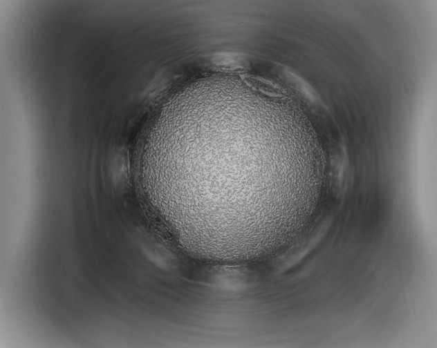 X0000116880320200912221430