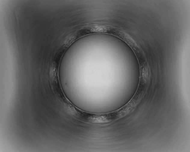 X0000116880322200912221430