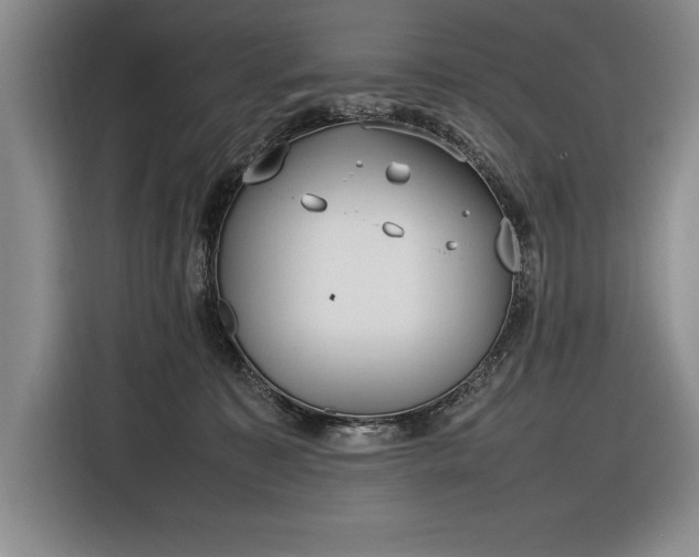 X0000116880323200912221430