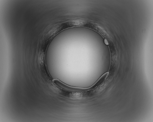 X0000116880325200912221430