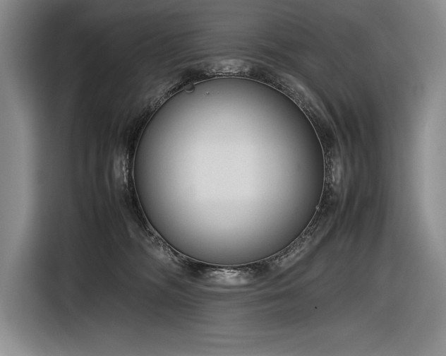 X0000116880326200912221430