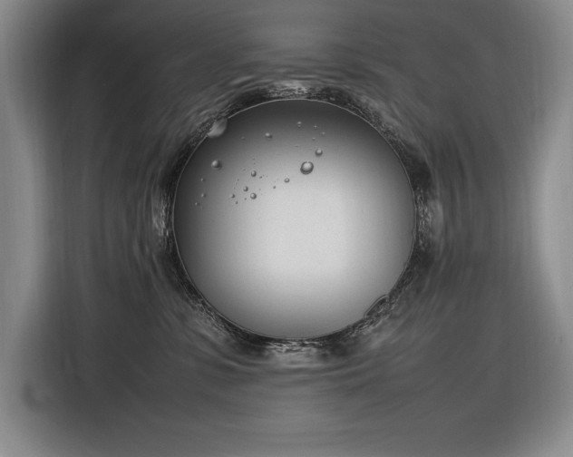 X0000116880331200912221430