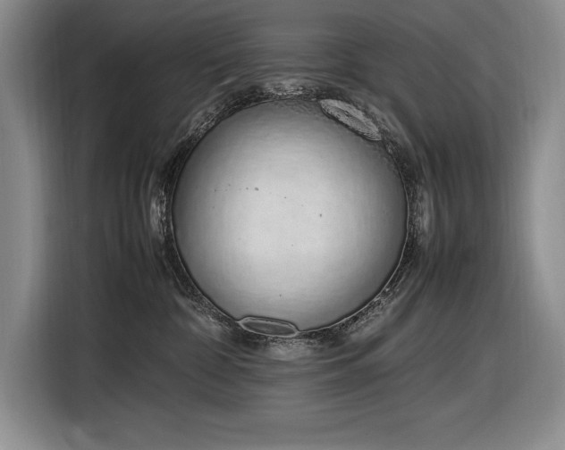 X0000116880332200912221430
