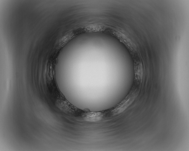 X0000116880334200912221430