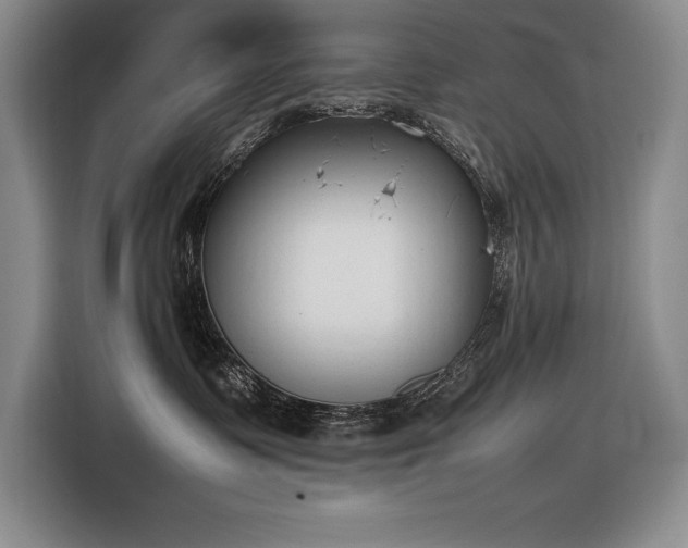 X0000116880335200912221430