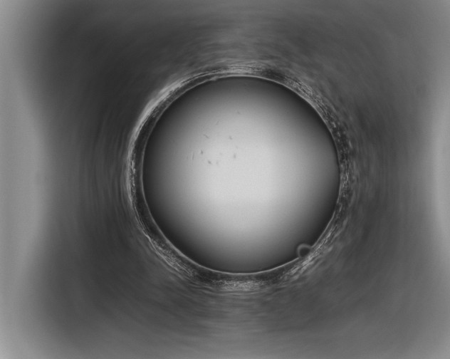 X0000116880342200912221430
