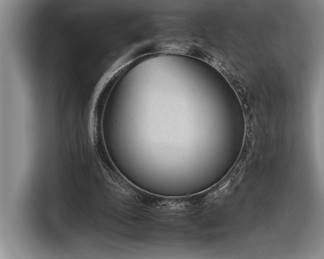X0000116880343200912221430