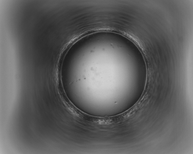 X0000116880345200912221430