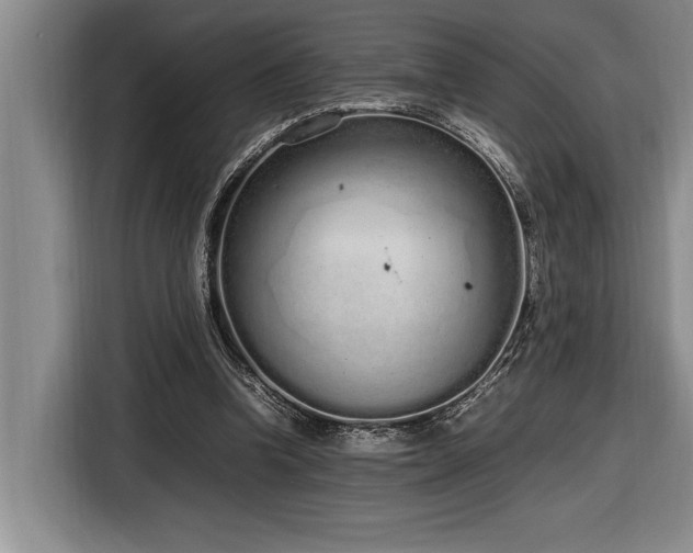 X0000116880346200912221430