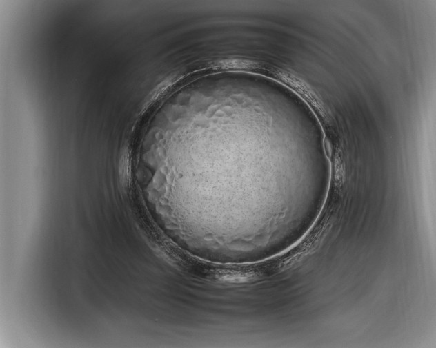 X0000116880347200912221430