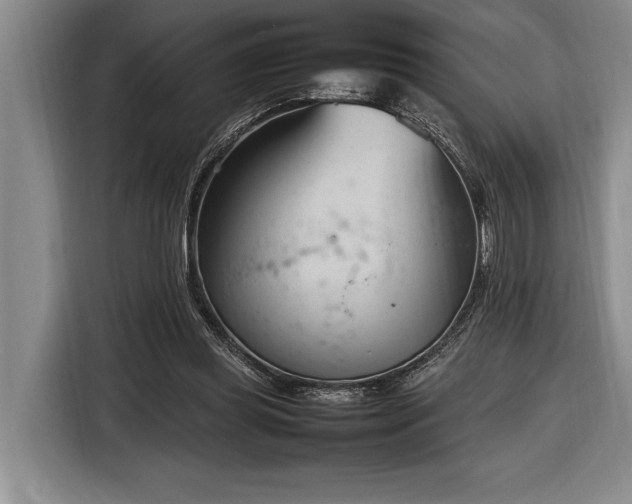 X0000116880349200912221430